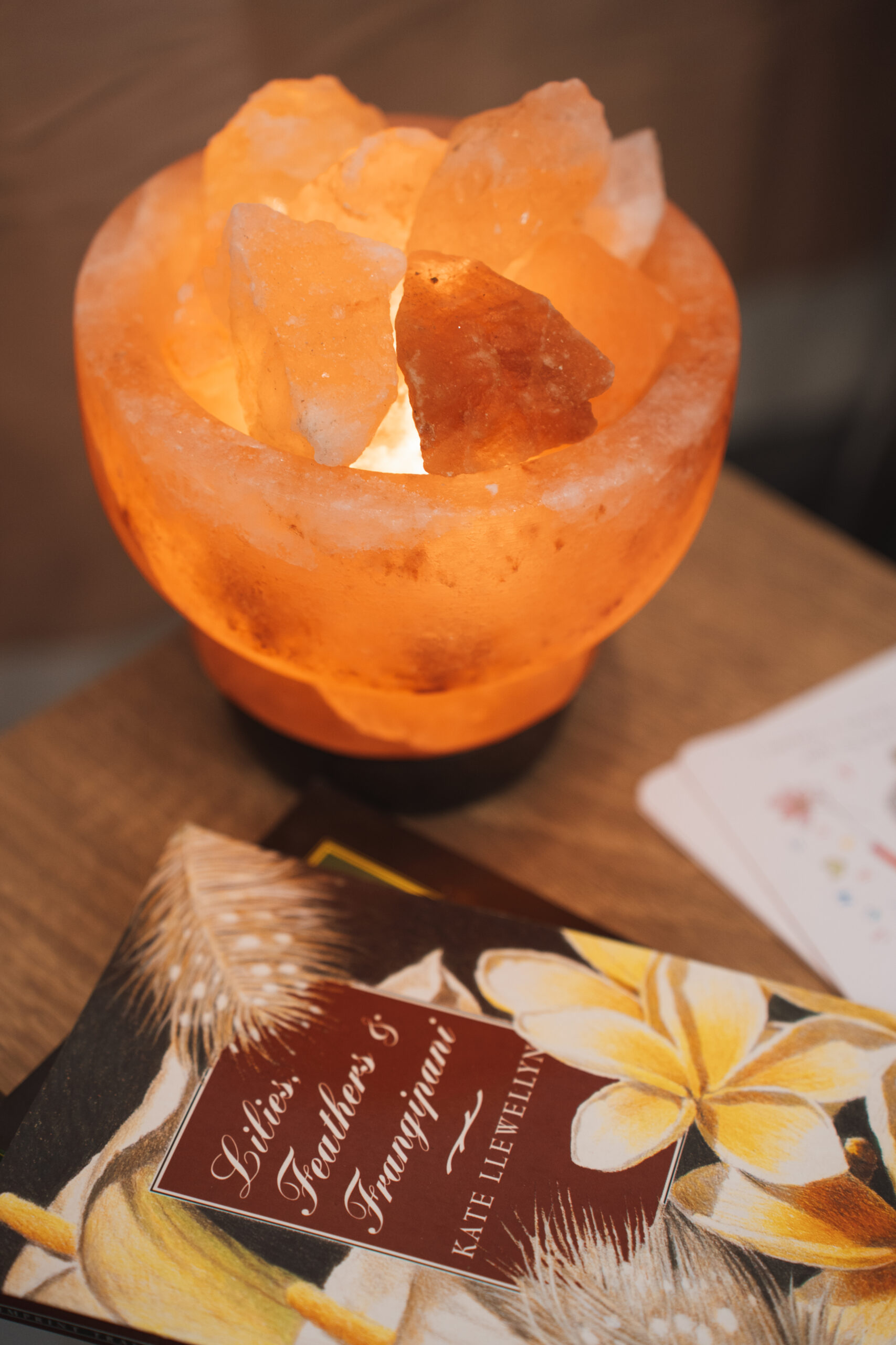 Himalayan salt lamp and holistic health resources in naturopath Louise Mace’s clinic.